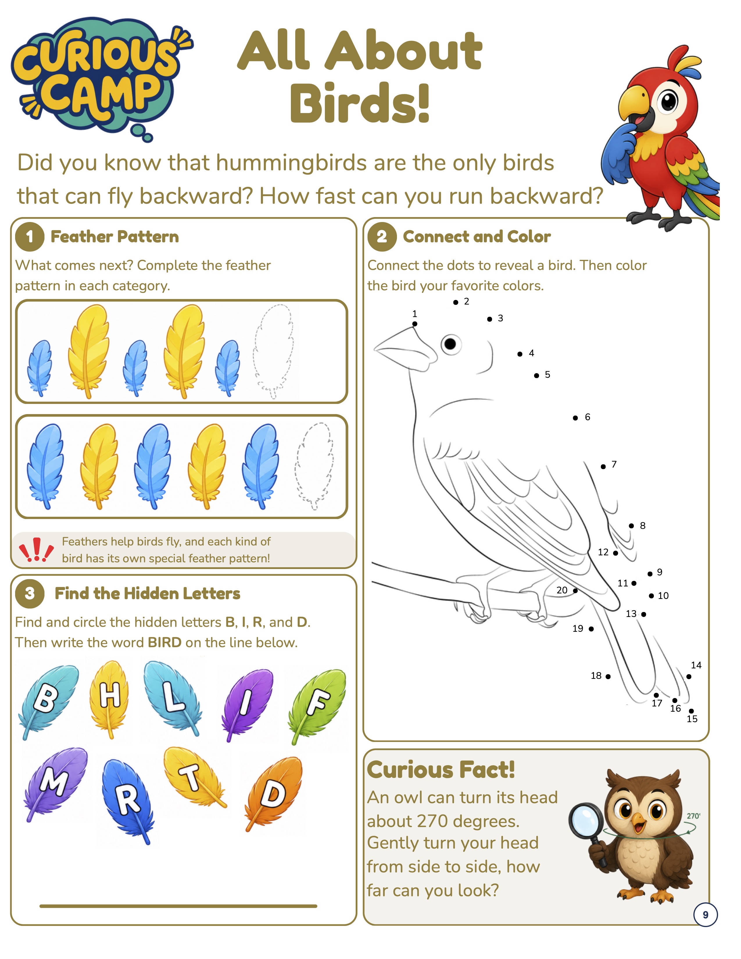 Preview of the Curious Camp Birds activity sheet