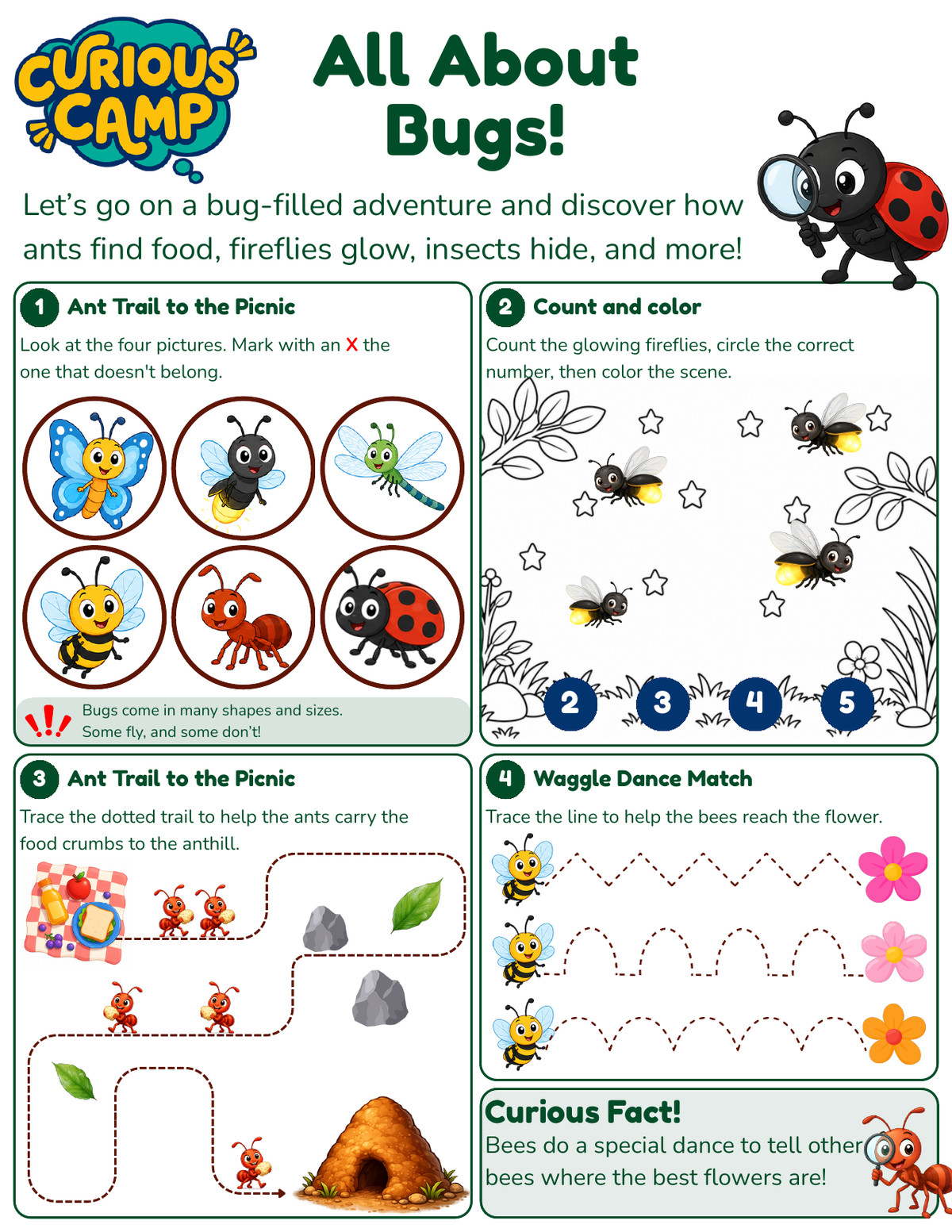 Preview of the Curious Camp Bugs activity sheet